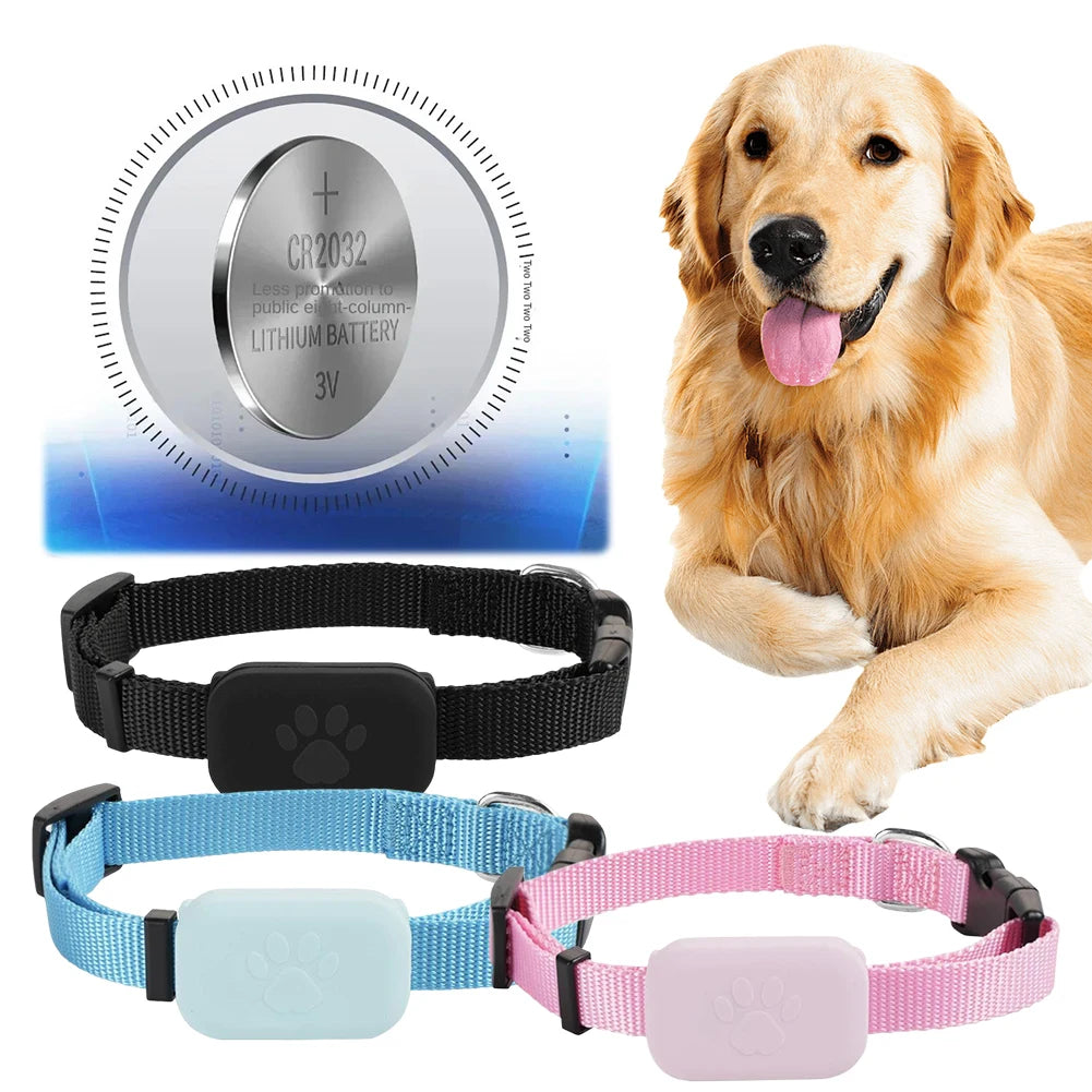 PetSafe Standard GPS Smart Collar - No Subscription required