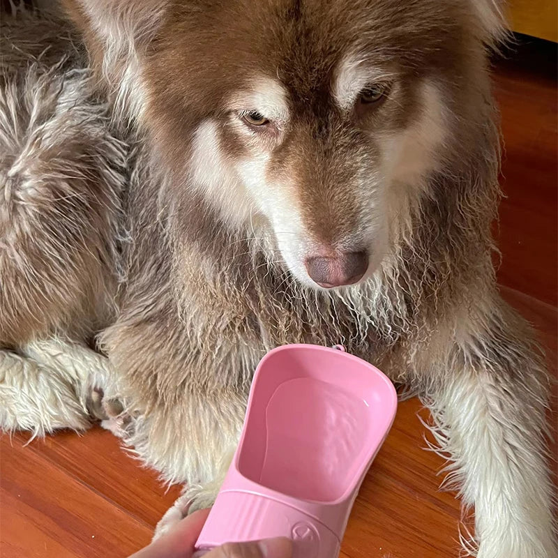 2-in-1 portable Pet Water & Food Bottle