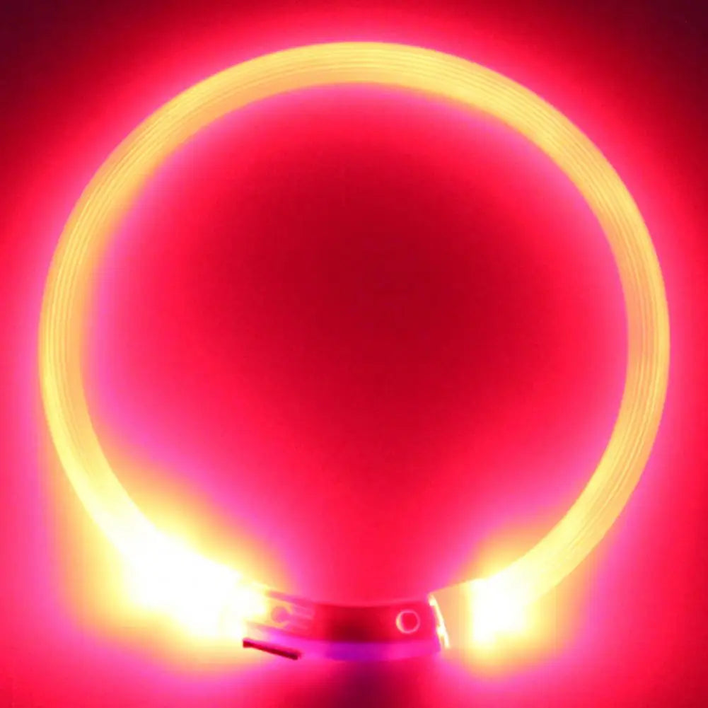 LED Safety Collar for Dogs & Cats - Rechargeable & Waterproof