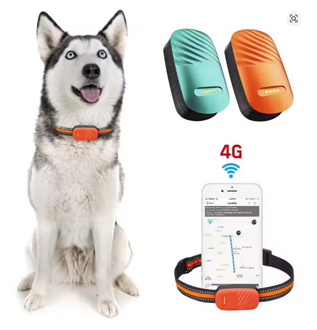 PetSafe Pro GPS Smart Collar - No Subscription Required
