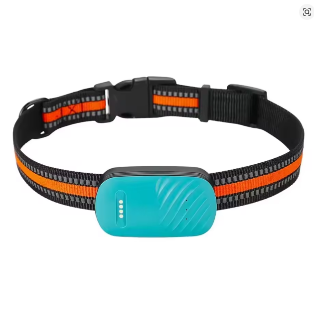 PetSafe Pro GPS Smart Collar - No Subscription Required