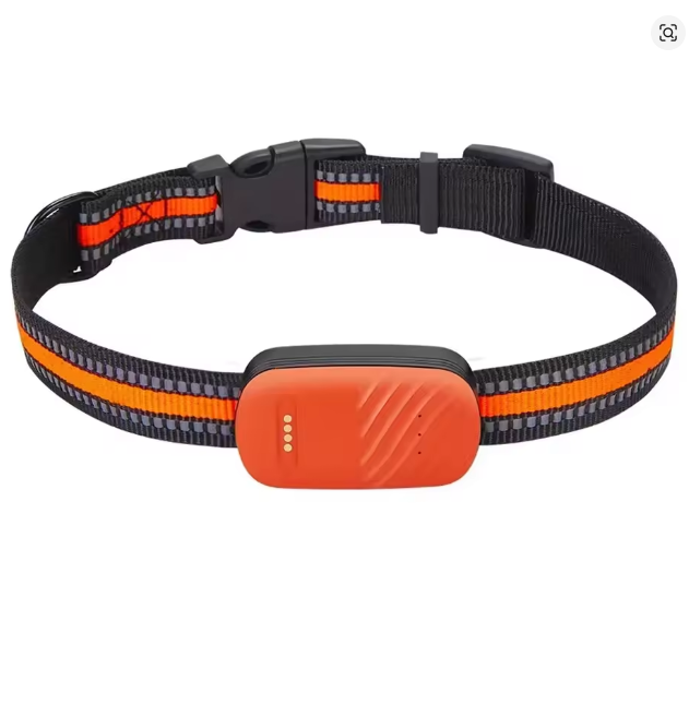 PetSafe Pro GPS Smart Collar - No Subscription Required