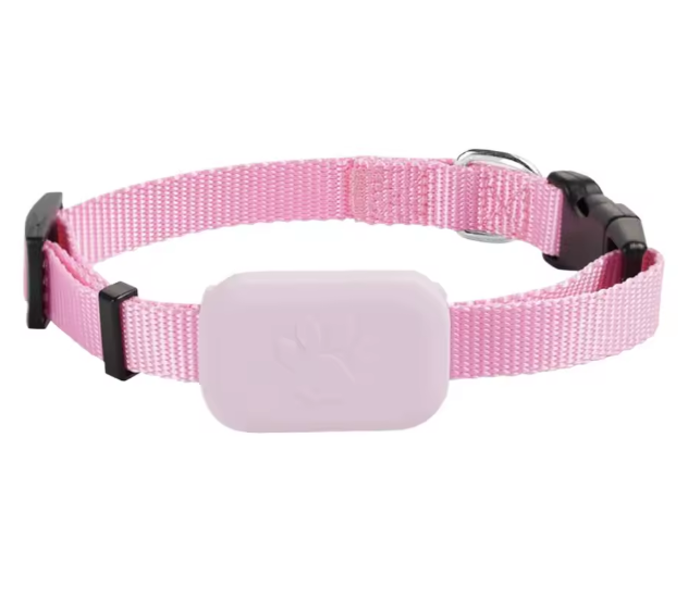 PetSafe Standard GPS Smart Collar - No Subscription required