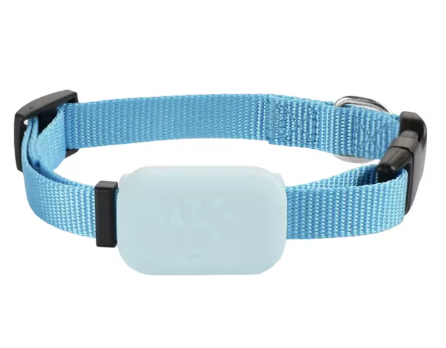 PetSafe Standard GPS Smart Collar - No Subscription required
