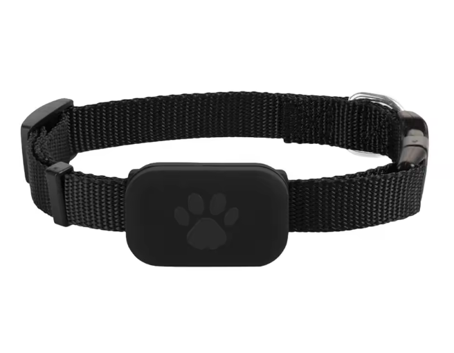 PetSafe Standard GPS Smart Collar - No Subscription required