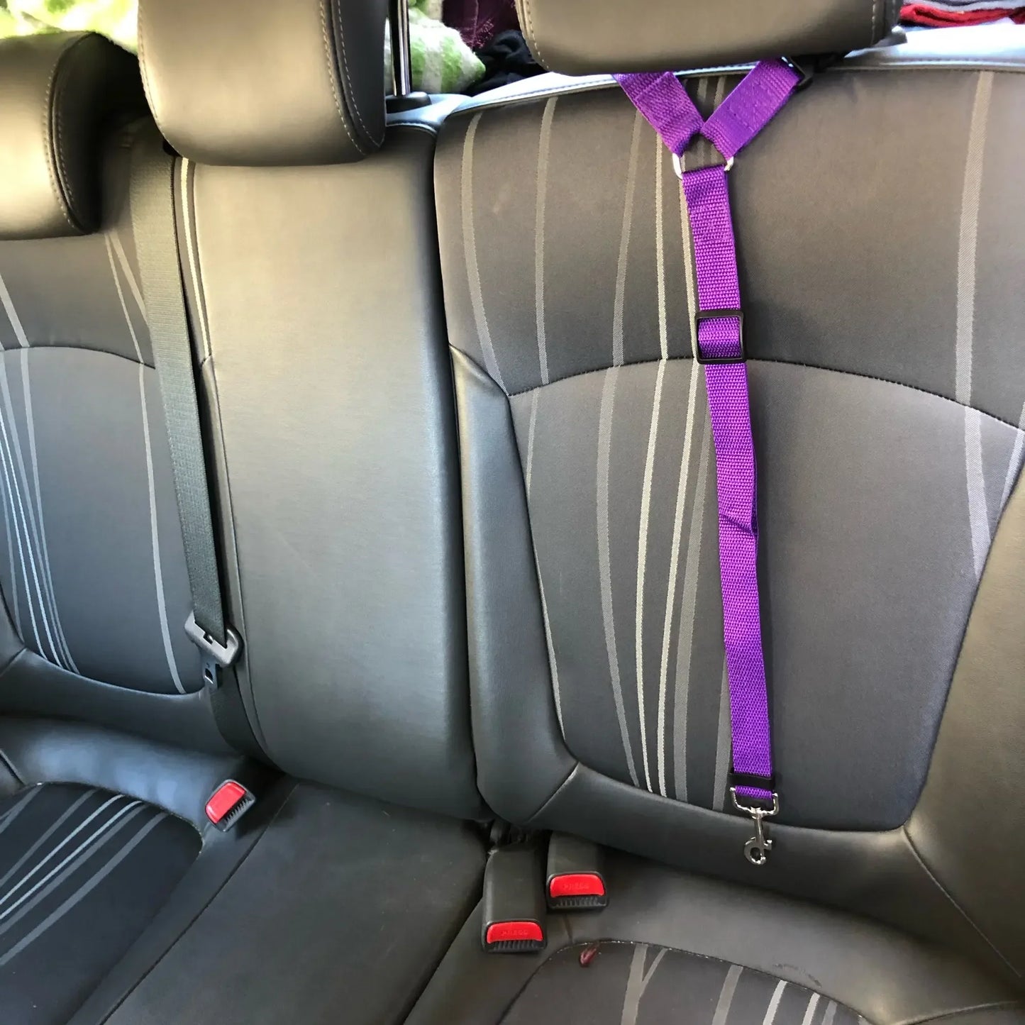 2-in-1 Adjustable Pet Car Seat Belt & Leash – Safety Travel Harness for Dogs & Cats