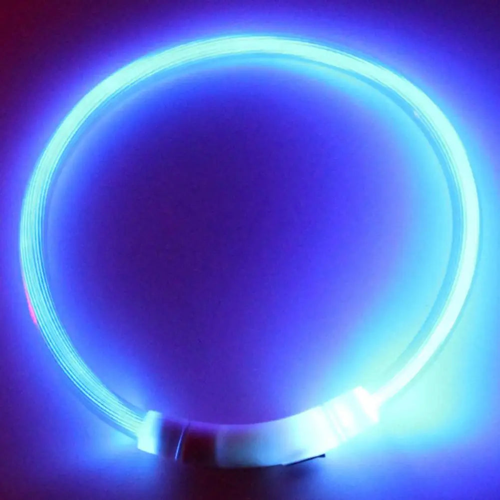 LED Safety Collar for Dogs & Cats - Rechargeable & Waterproof