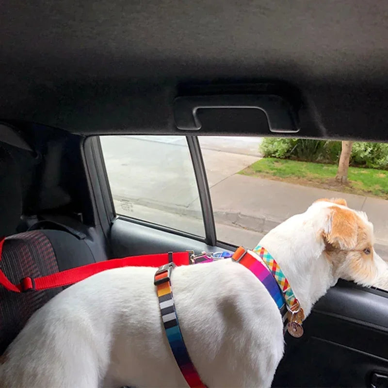 2-in-1 Adjustable Pet Car Seat Belt & Leash – Safety Travel Harness for Dogs & Cats