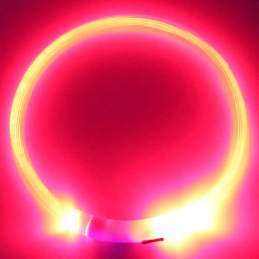 LED Safety Collar for Dogs & Cats - Rechargeable & Waterproof