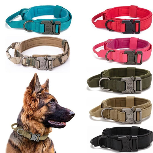 Nylon Dog Collar & Leash Set – Reflective, Strong & Comfortable