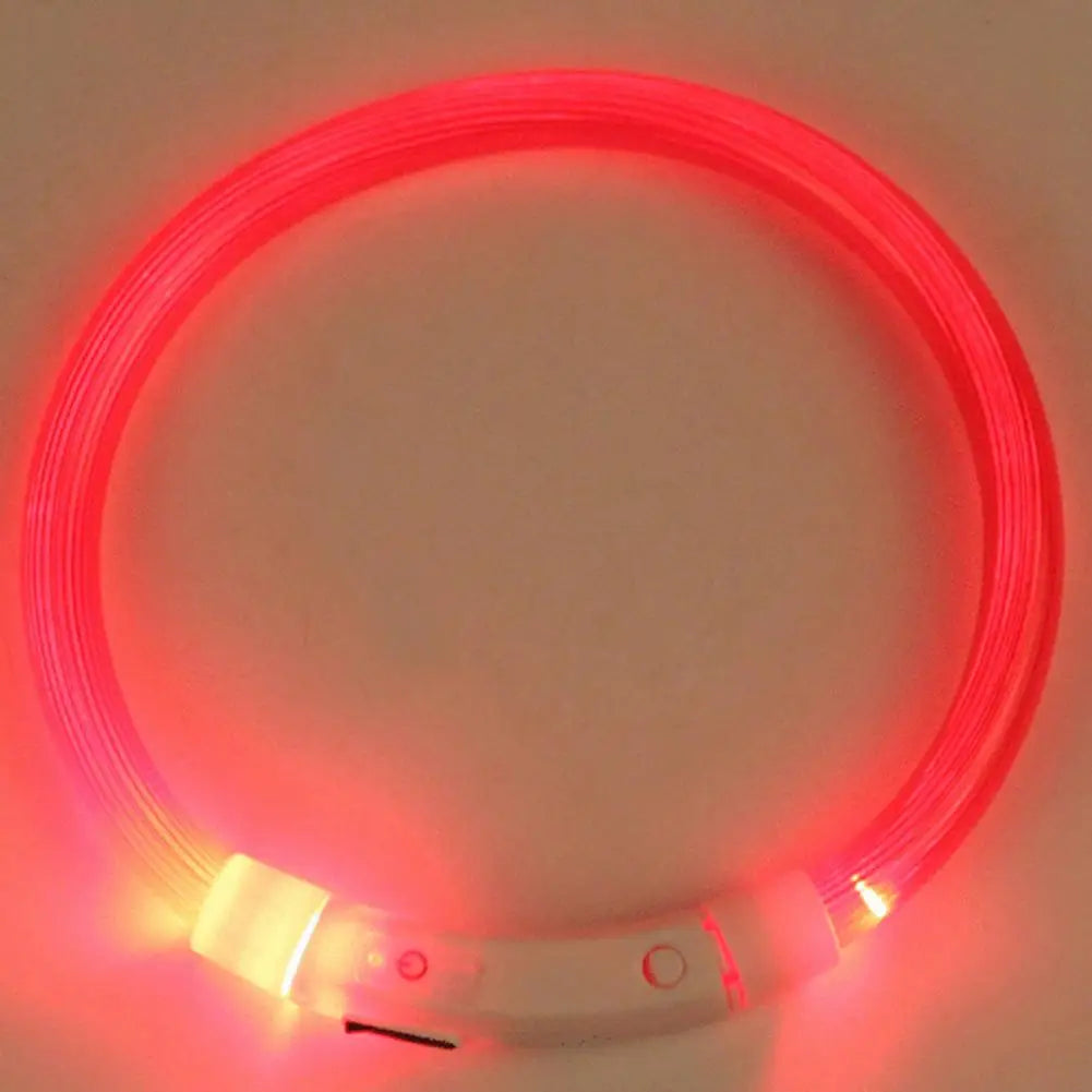 LED Safety Collar for Dogs & Cats - Rechargeable & Waterproof