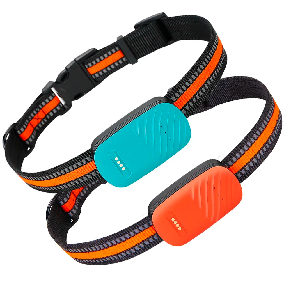 PetSafe Pro GPS Smart Collar - No Subscription Required