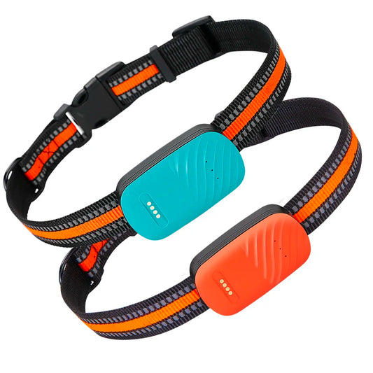 PetSafe Pro GPS Smart Collar - No Subscription Required