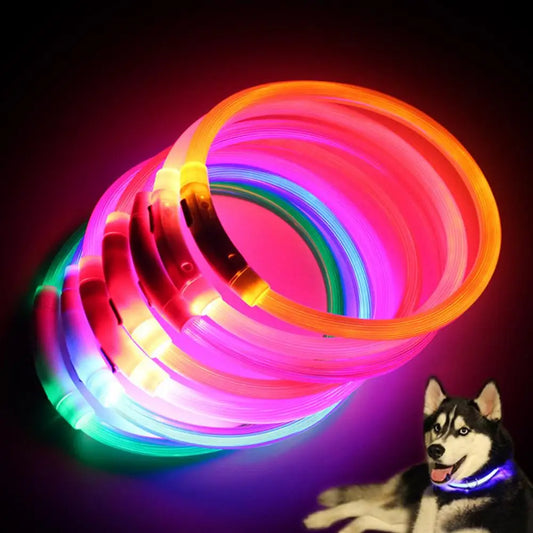 LED Safety Collar for Dogs & Cats - Rechargeable & Waterproof