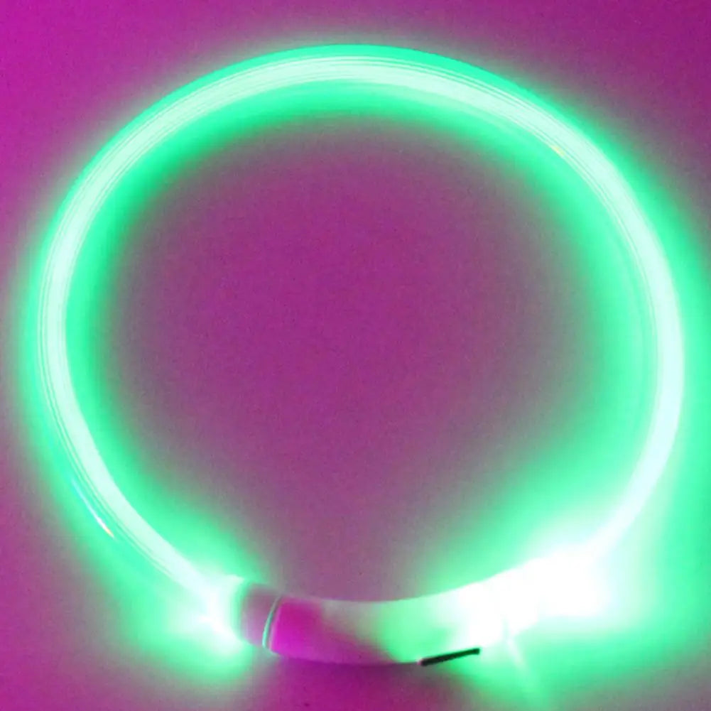 LED Safety Collar for Dogs & Cats - Rechargeable & Waterproof
