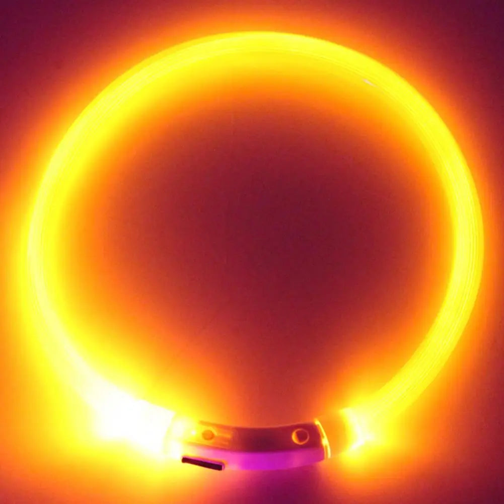 LED Safety Collar for Dogs & Cats - Rechargeable & Waterproof